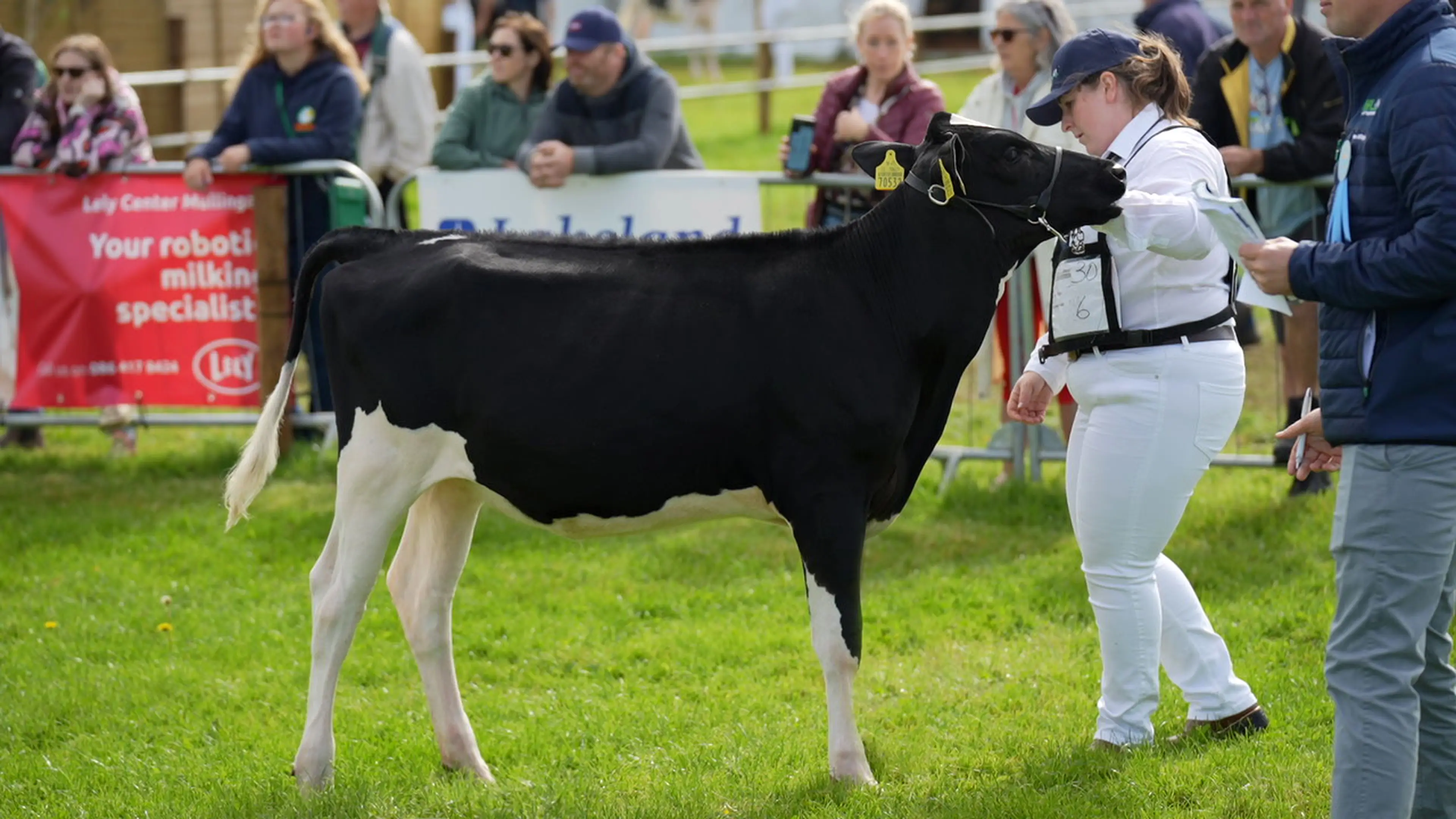 Aisling Neville's 1st Prize Winning Youri (FR5722) sired heifer calf
