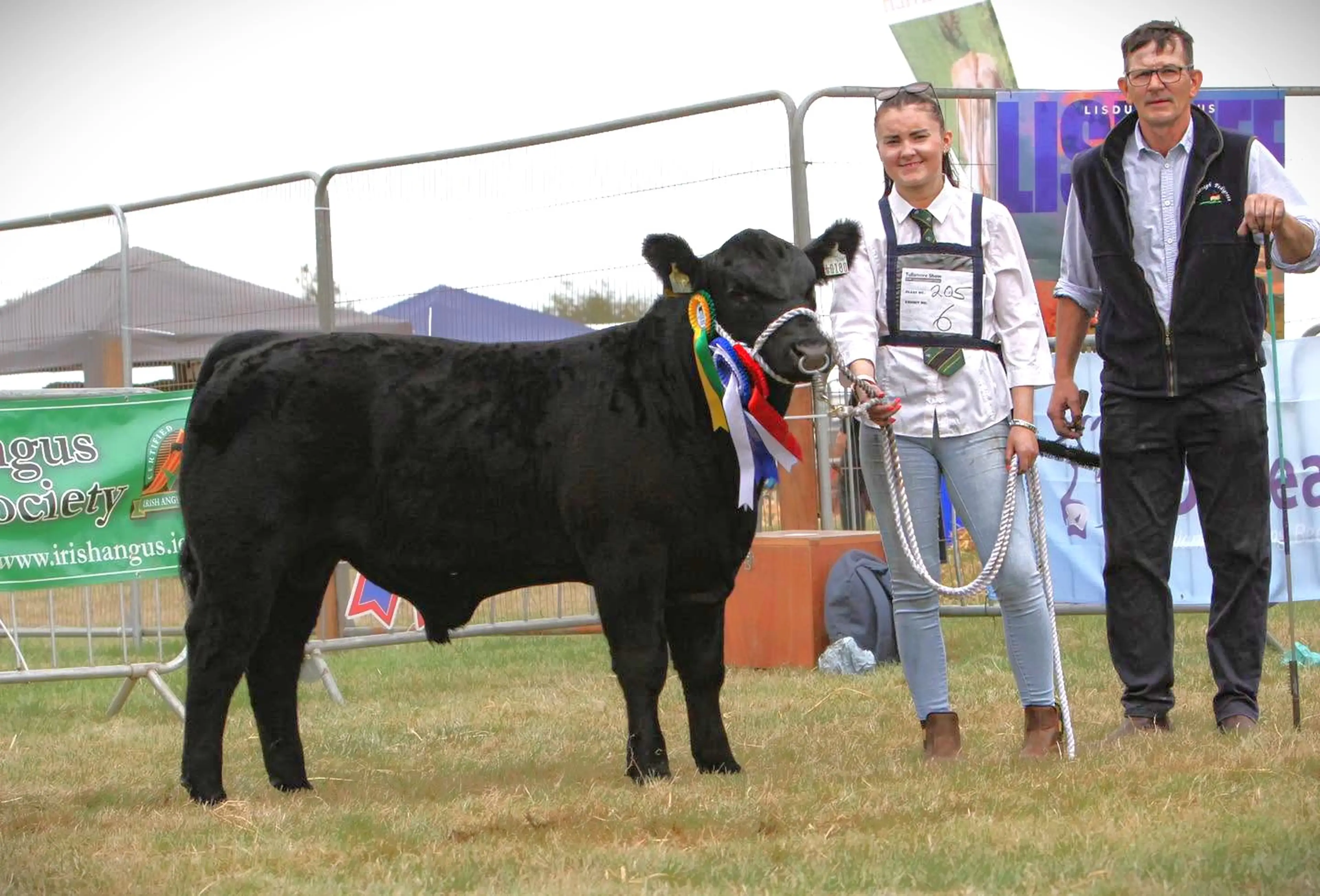 Kenneth Bailey’s Carrowboy Vegas (AA1506) sired bull calf