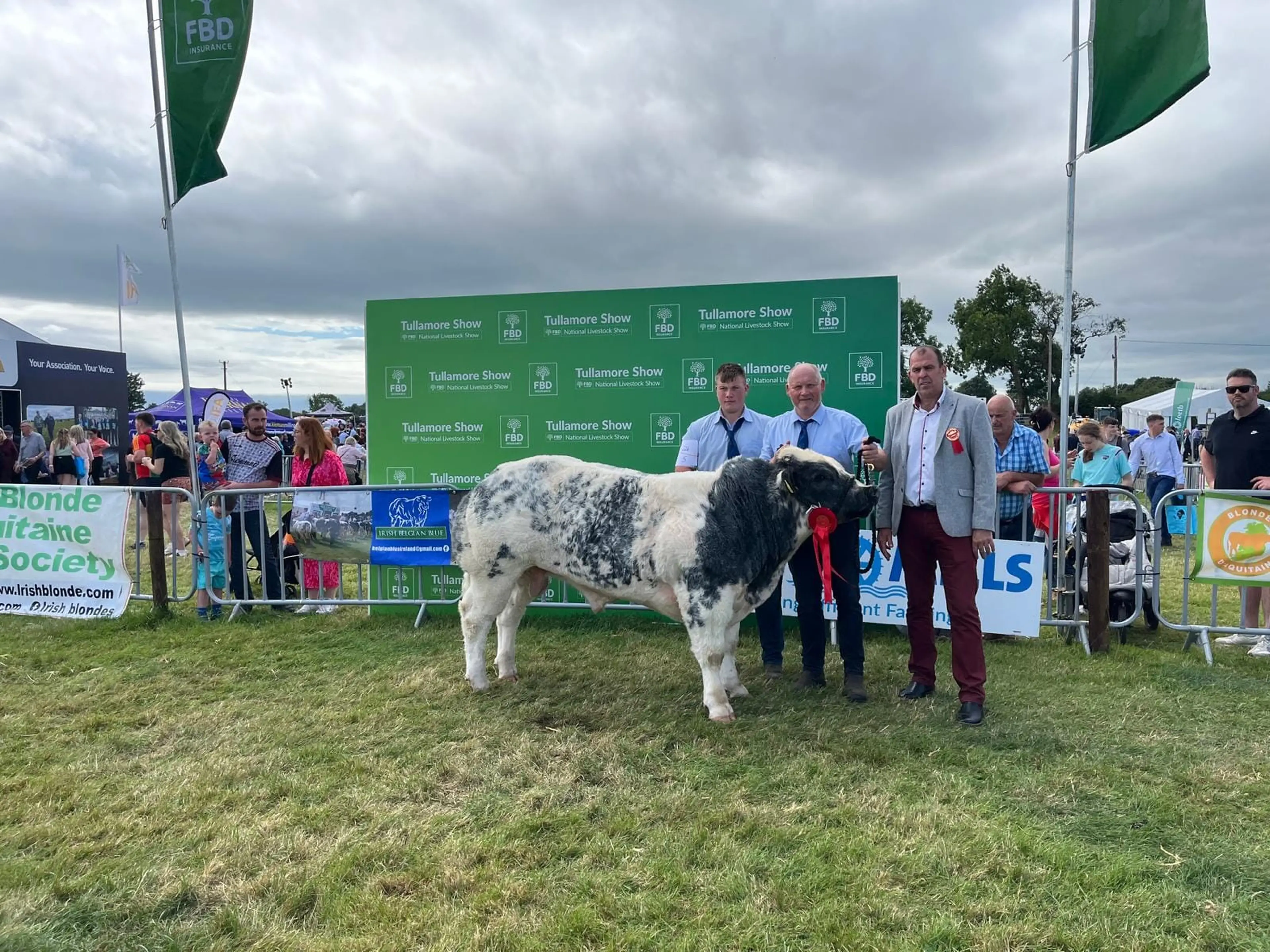 Overall Male Champion sired by Mannequin De Sberchamps (S1215)