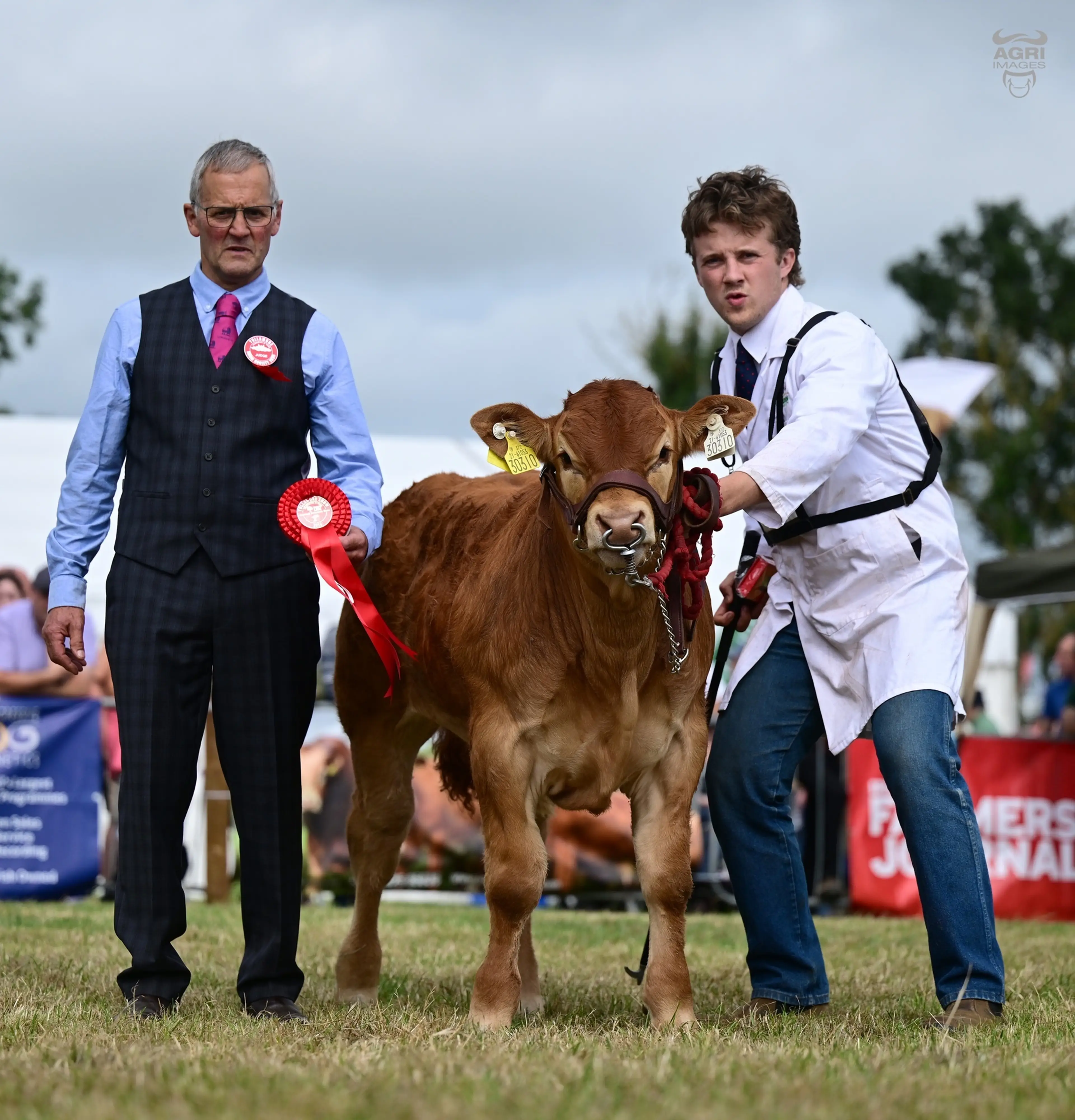 James Wycherly's Claddagh McCabe (LM6529) sired bull calf / Agri Images