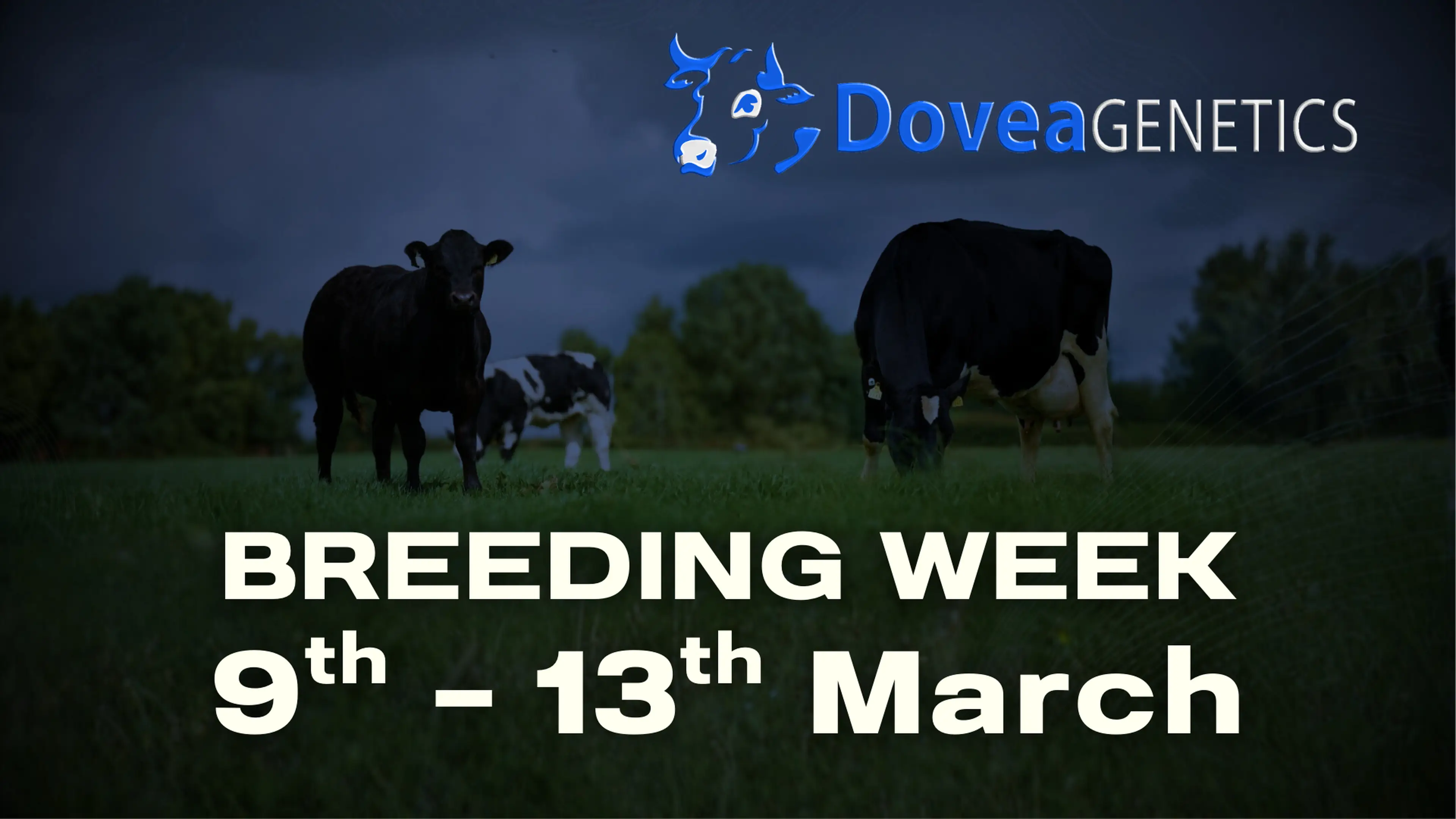 Dovea Genetics Webinar Series takes place next week, Monday to Thursday, 8pm!