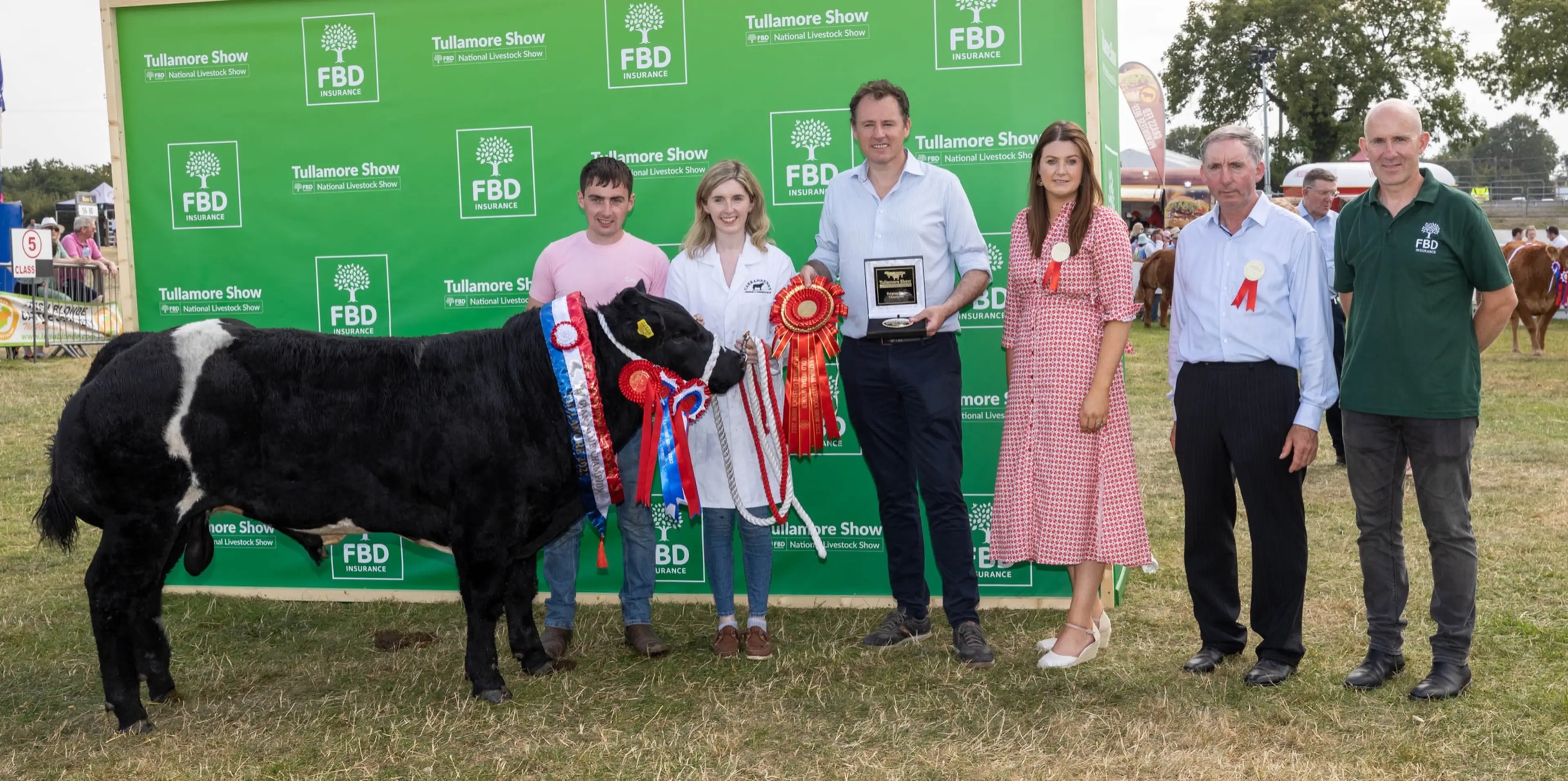 Mannequin de Sberchamps (S1215) sired calf bred by Joe Davis