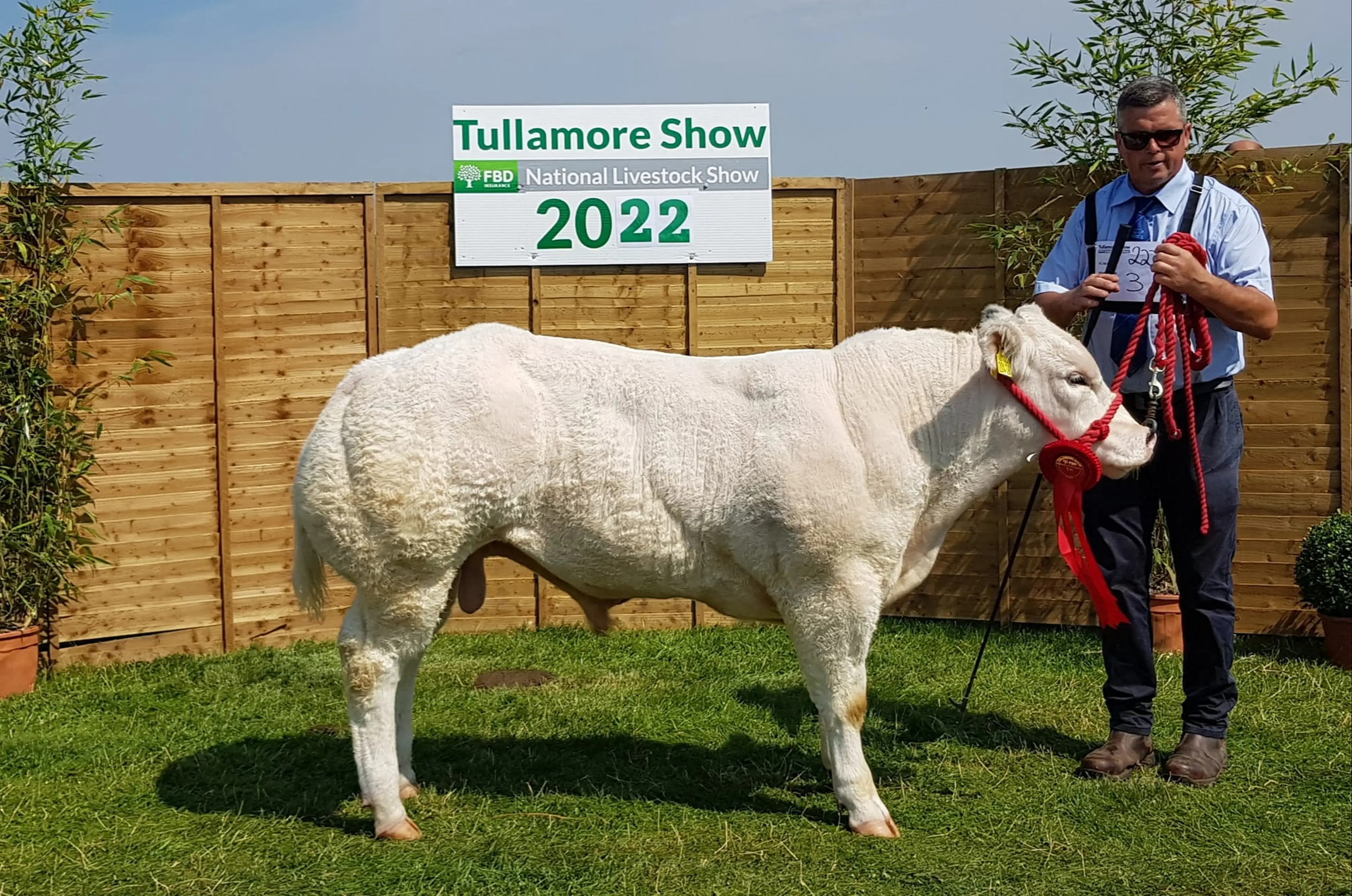 Moderato de l’Empereur (BB6700) bred by Myles McDermott