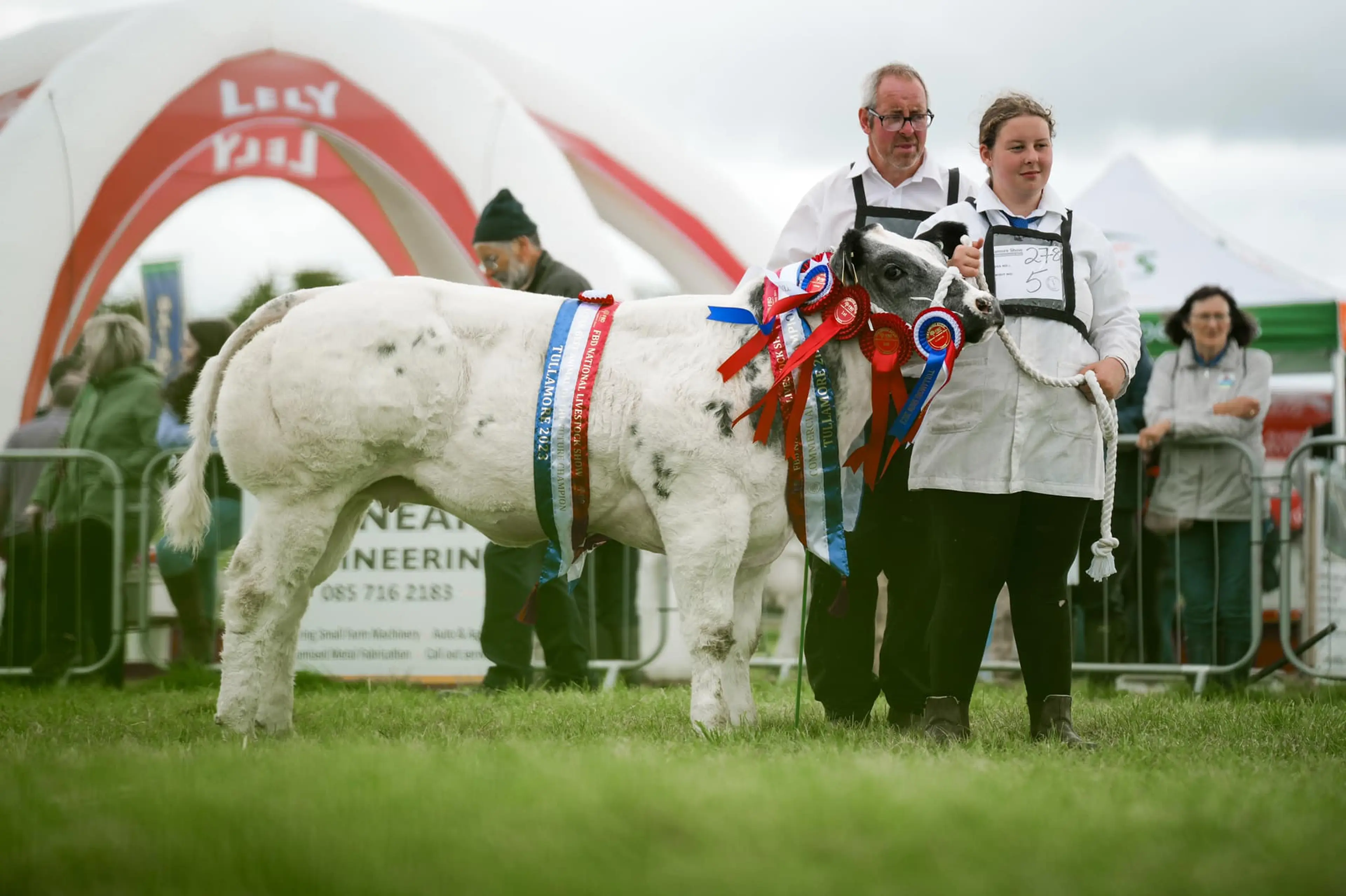 Linda Wharton's Overall Commercial Calf Champion sired by Empire d'Ochain (EZN)