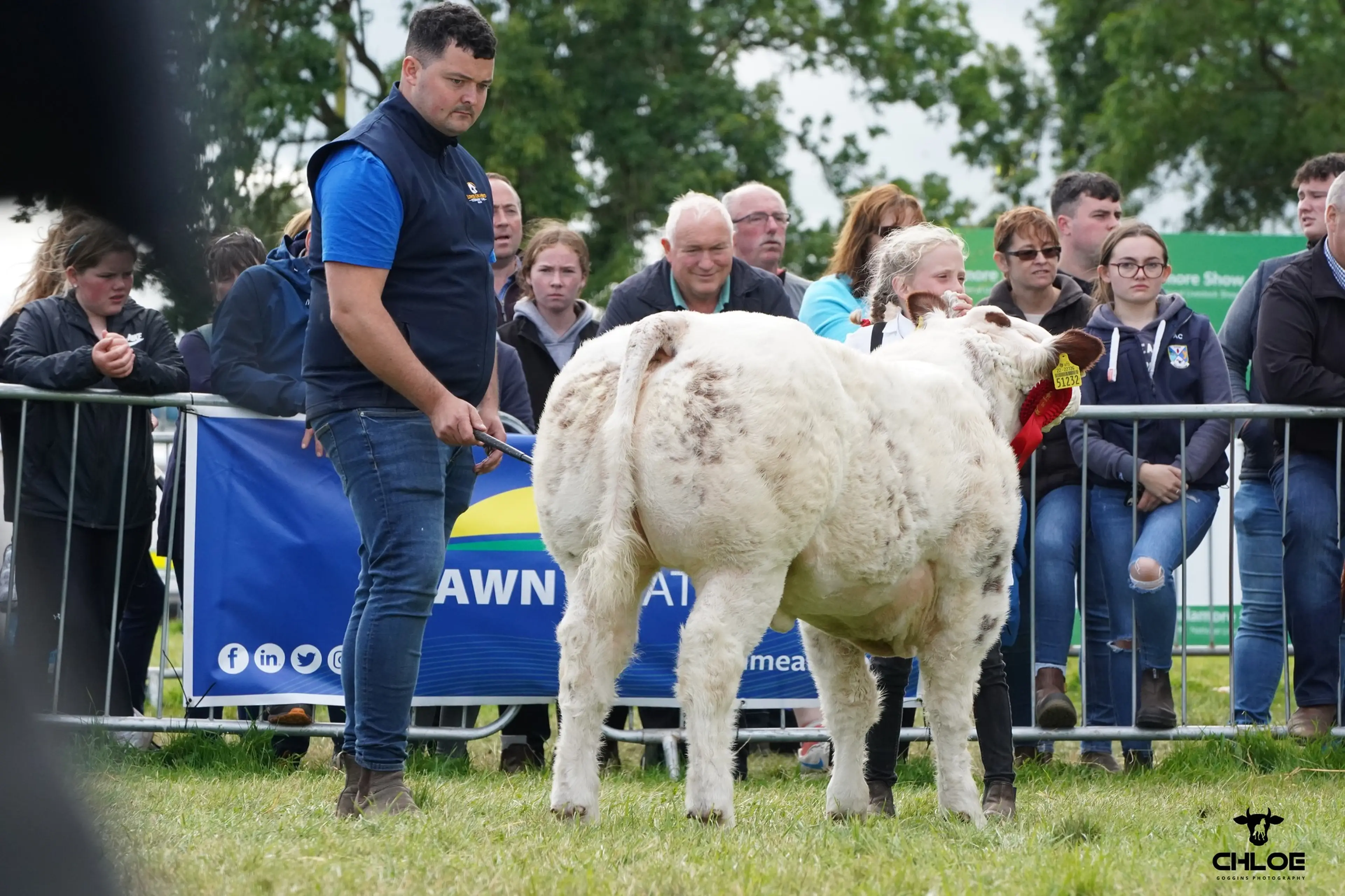 Linda Wharton's 1st Prize Winning Dartagnan Red (BB6942) sired heifer calf