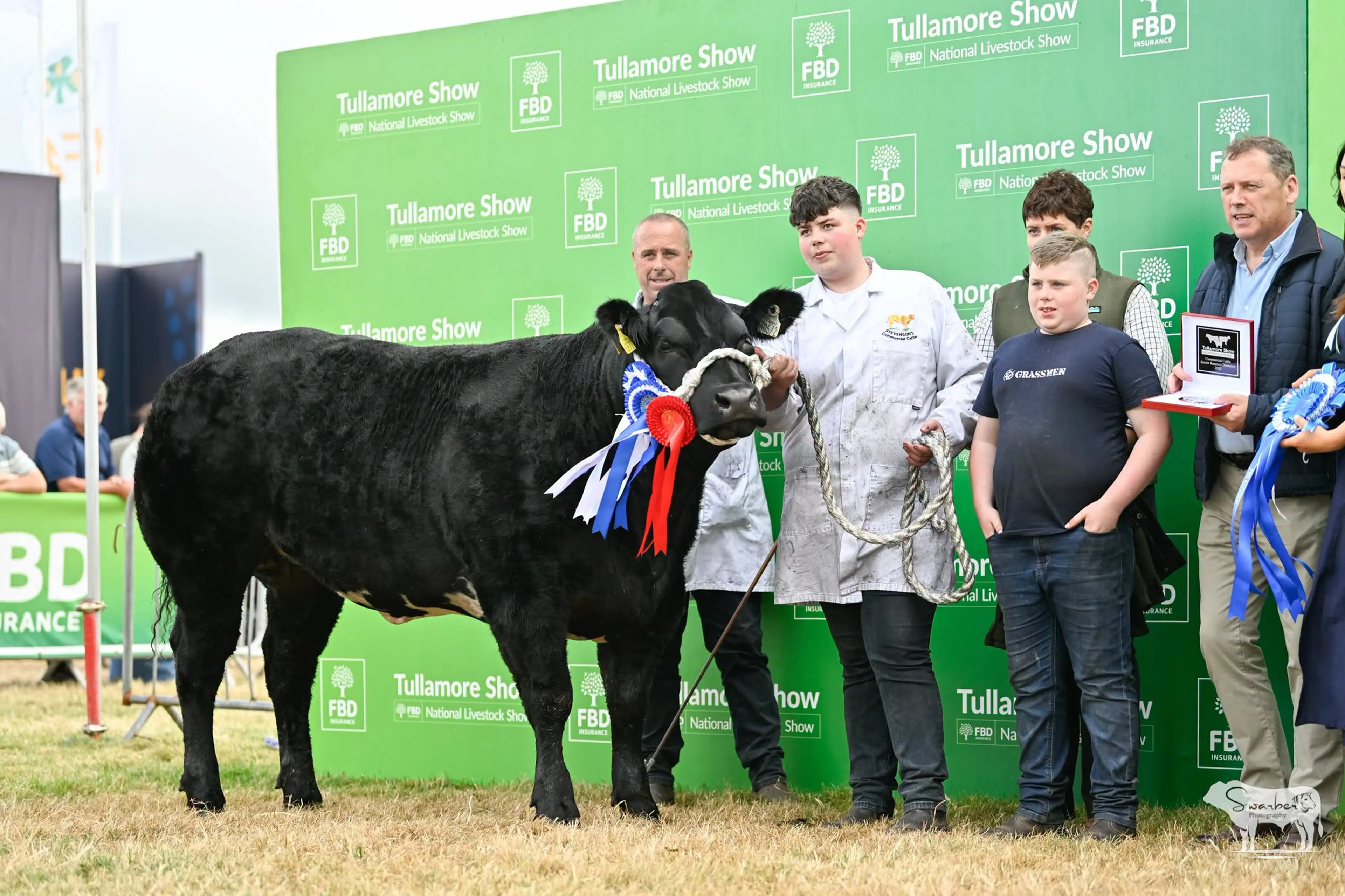 Forging Champions: The Unsung Genetic Giants Behind Tullamore’s Greatest Winners 2026