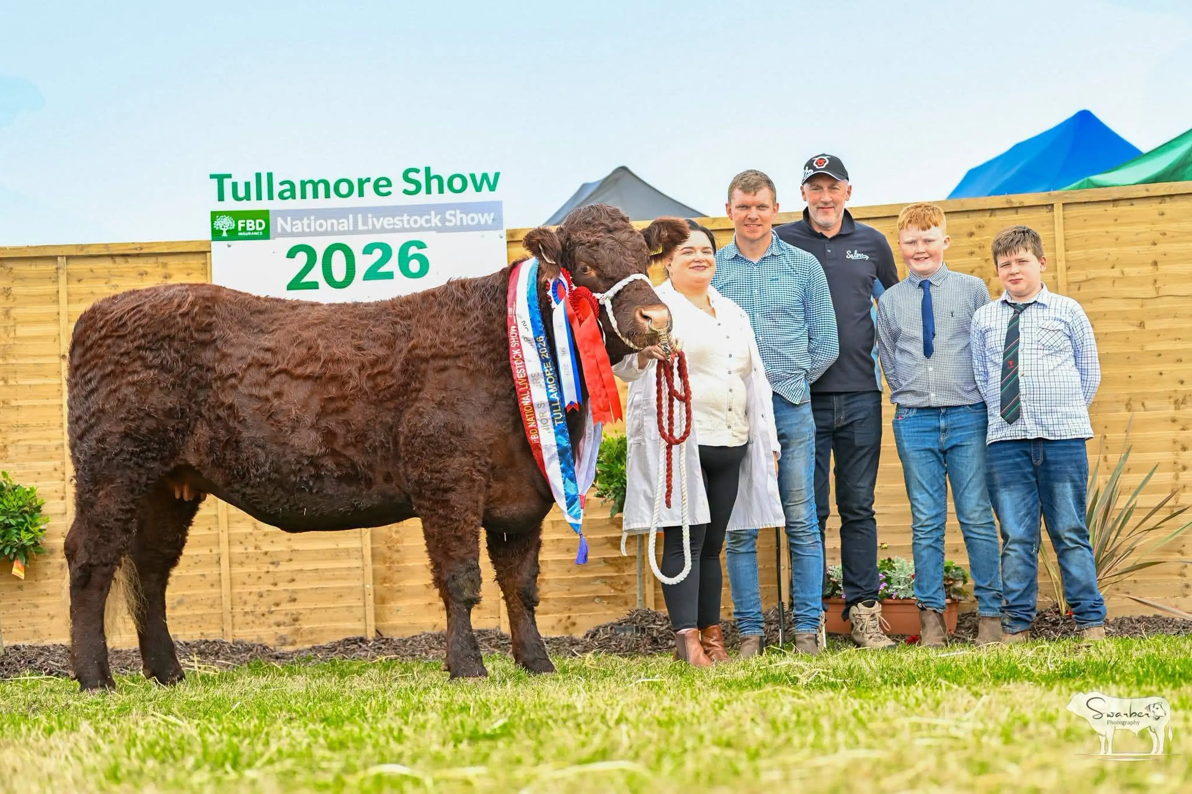Catherine Minogue's Overall Saler Champion sired by Montesqieu (SA6253) / Swarber Photography