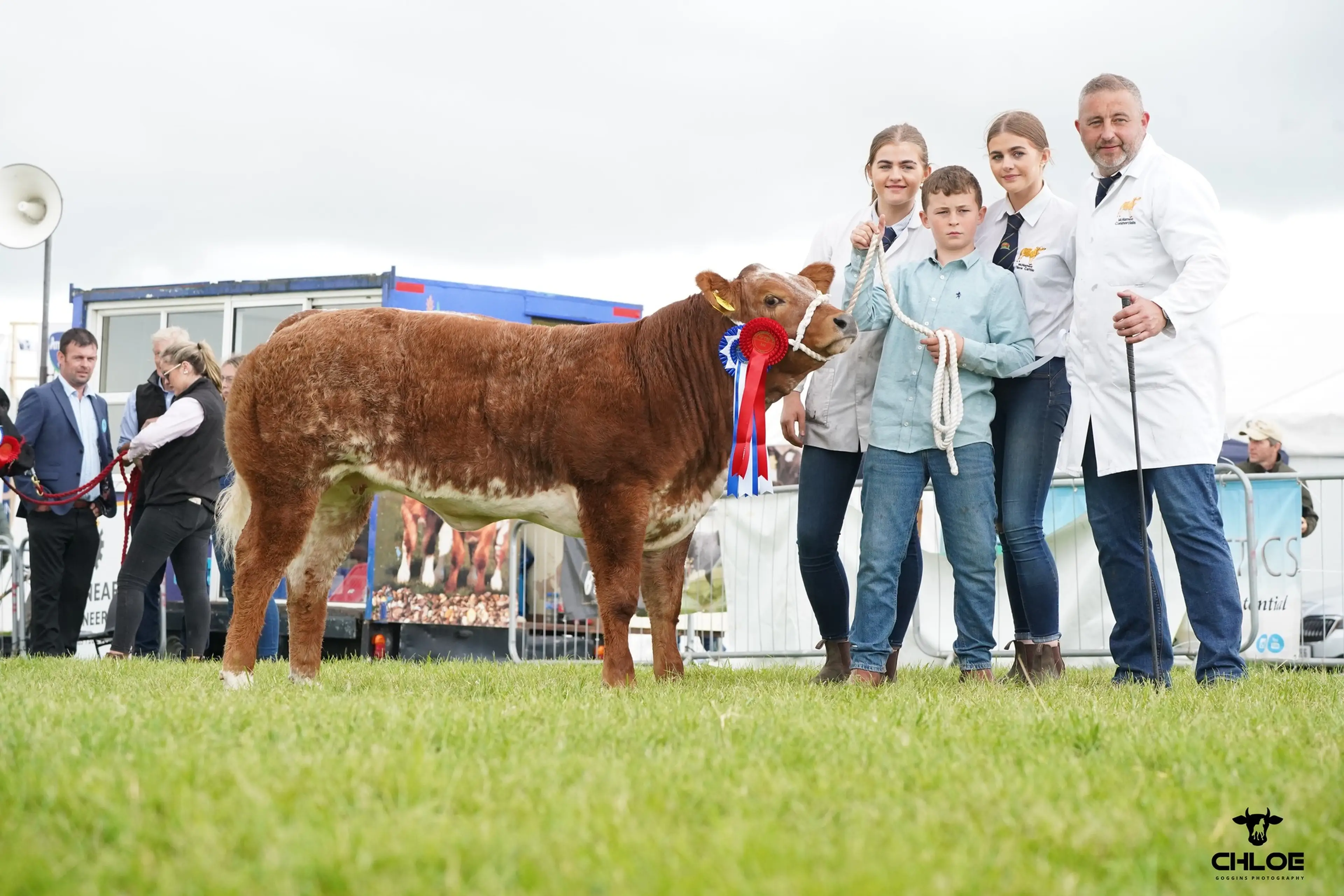Pearse McNamee's Reserve Overall Commercial Calf Champion sired by Du Grand Bon Dieu (BB2247)