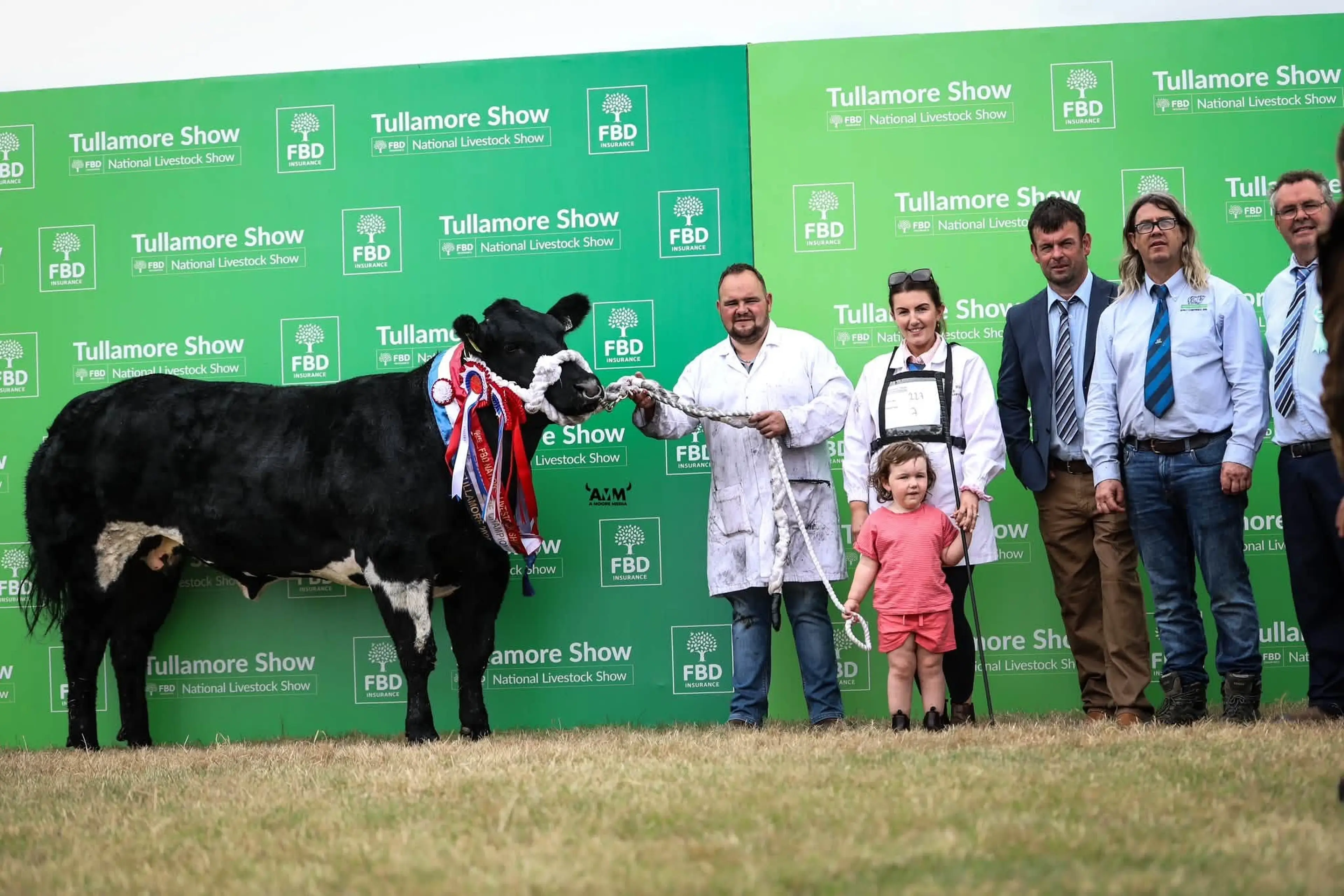 Billy Dunne with the Overall Belgian Blue Champion sired by Tattoo VD Sysloberg (BB6703) / A Moore Media