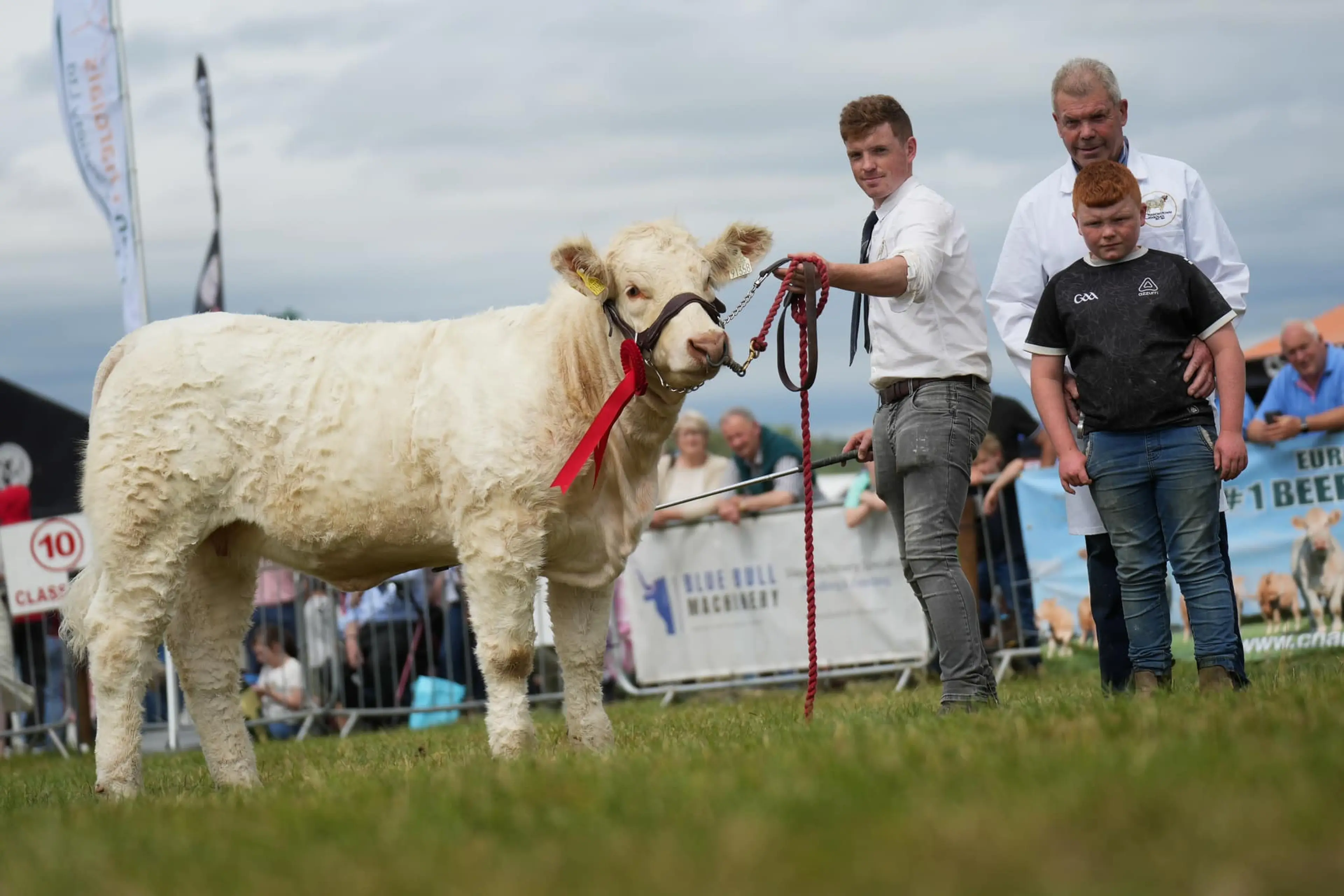 Winner of the Best Charolais Heifer Calf Born on/between 16.11.2023 & 31.12.2023 sired by Ocelot (CH5827)