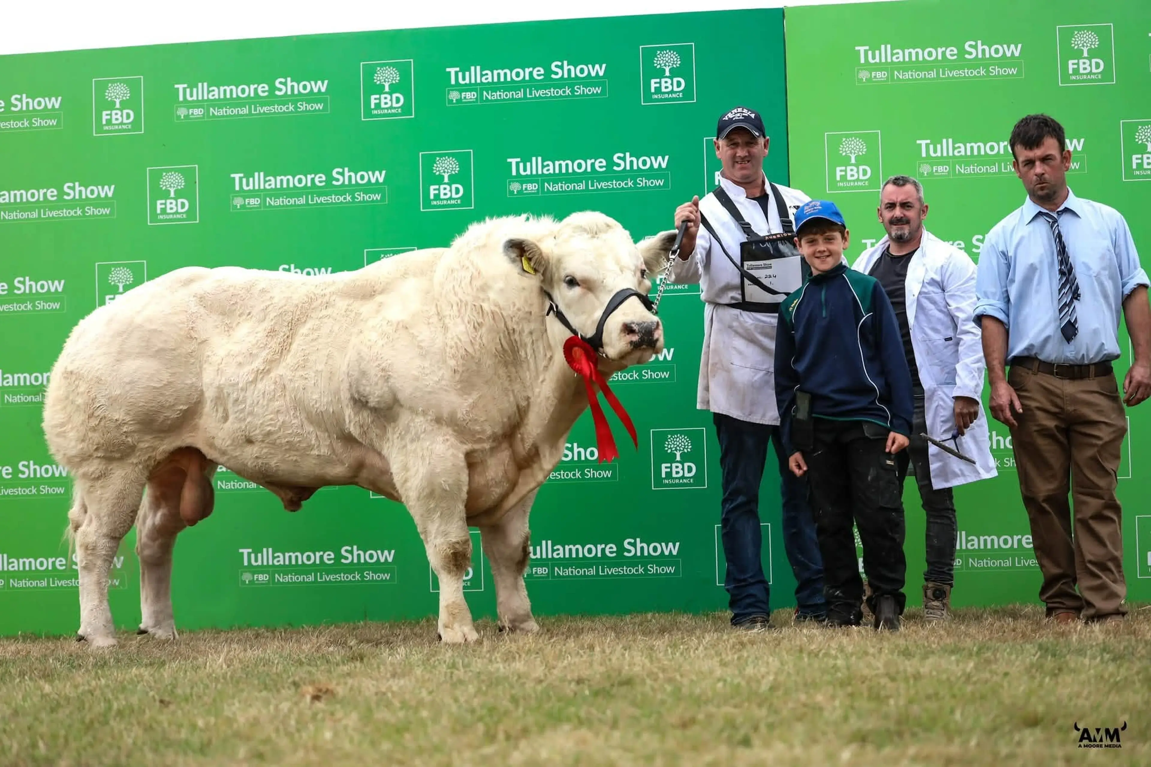 Neil Blennerhassett with his Immense d’Yvoir (S1216) son / A Moore Media