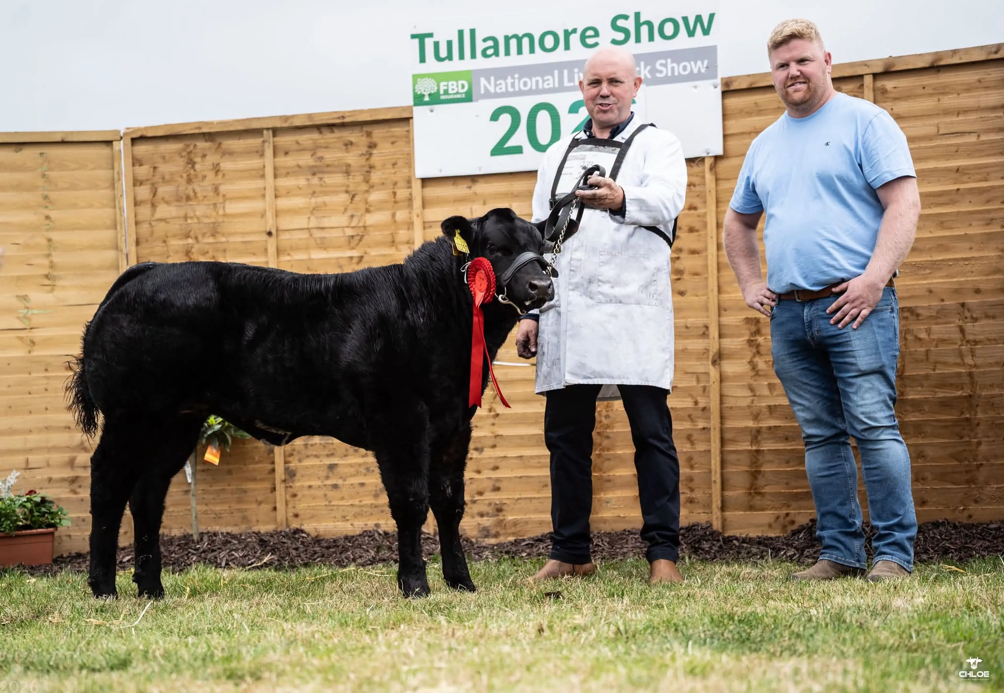 Derrick Forde with his Milbrook Dartangan (MBP) sired heifer calf / Chloe Goggins Photography