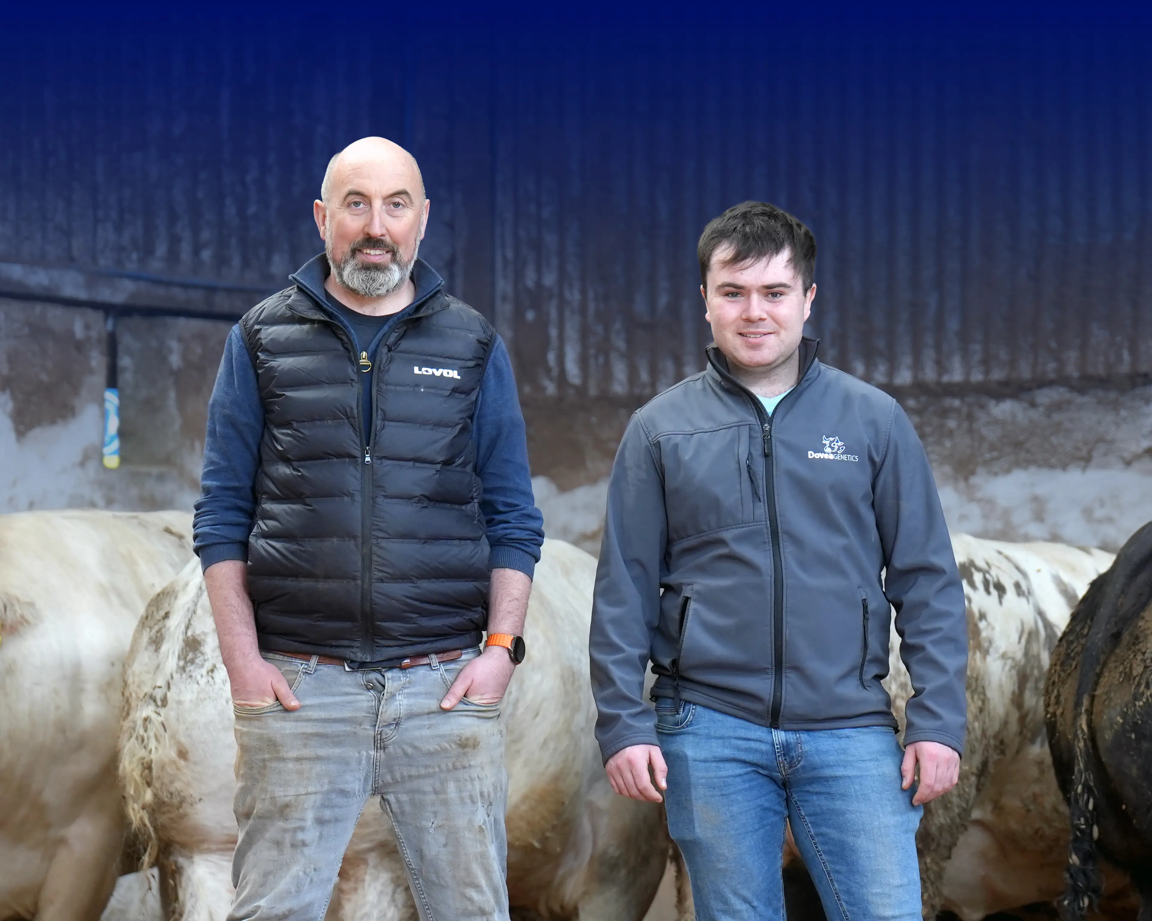 Dovea’s Proven Sexed Limousin Range: The Superior Choice for James Alexander