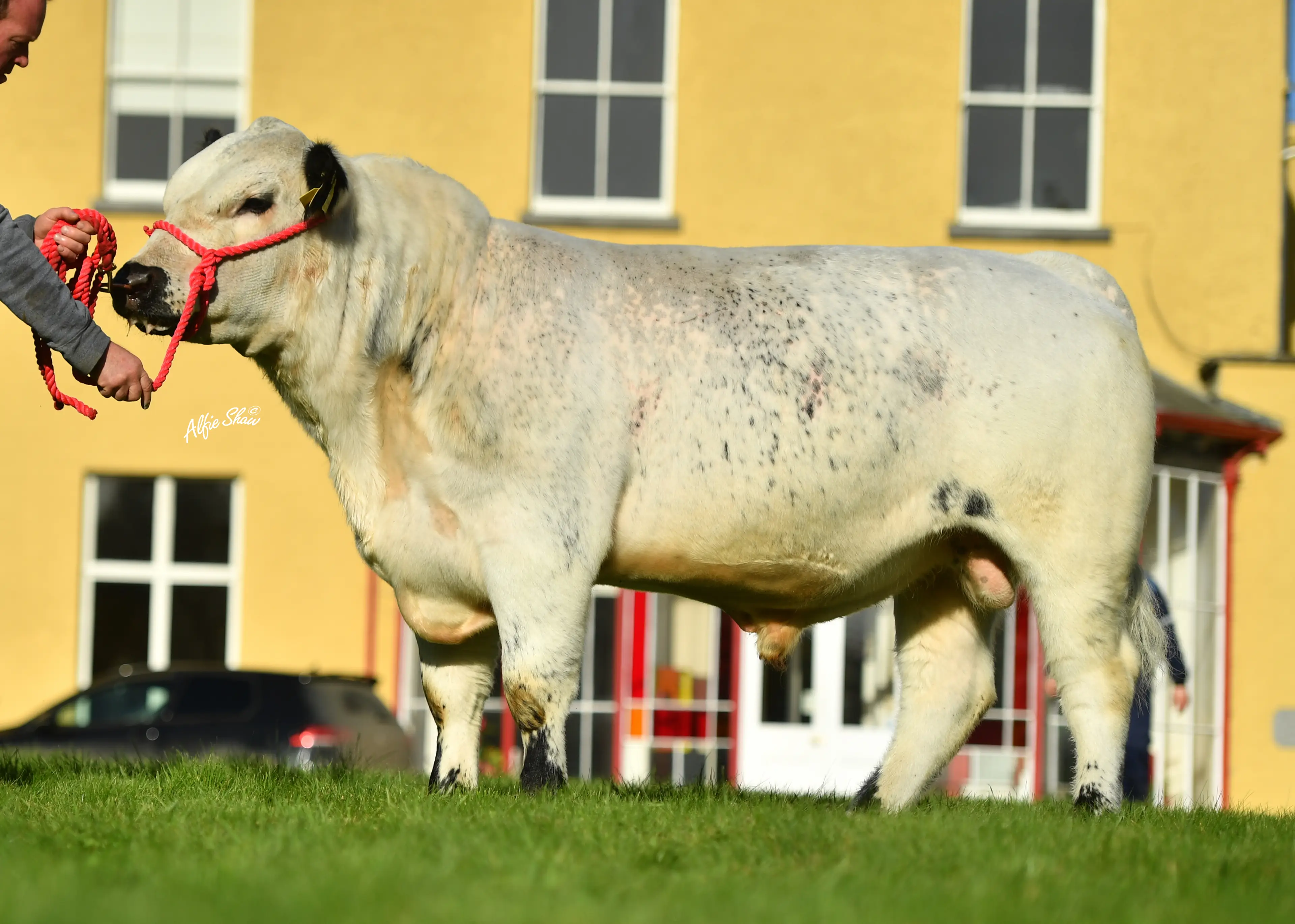 Kilbarry Harper SP7347