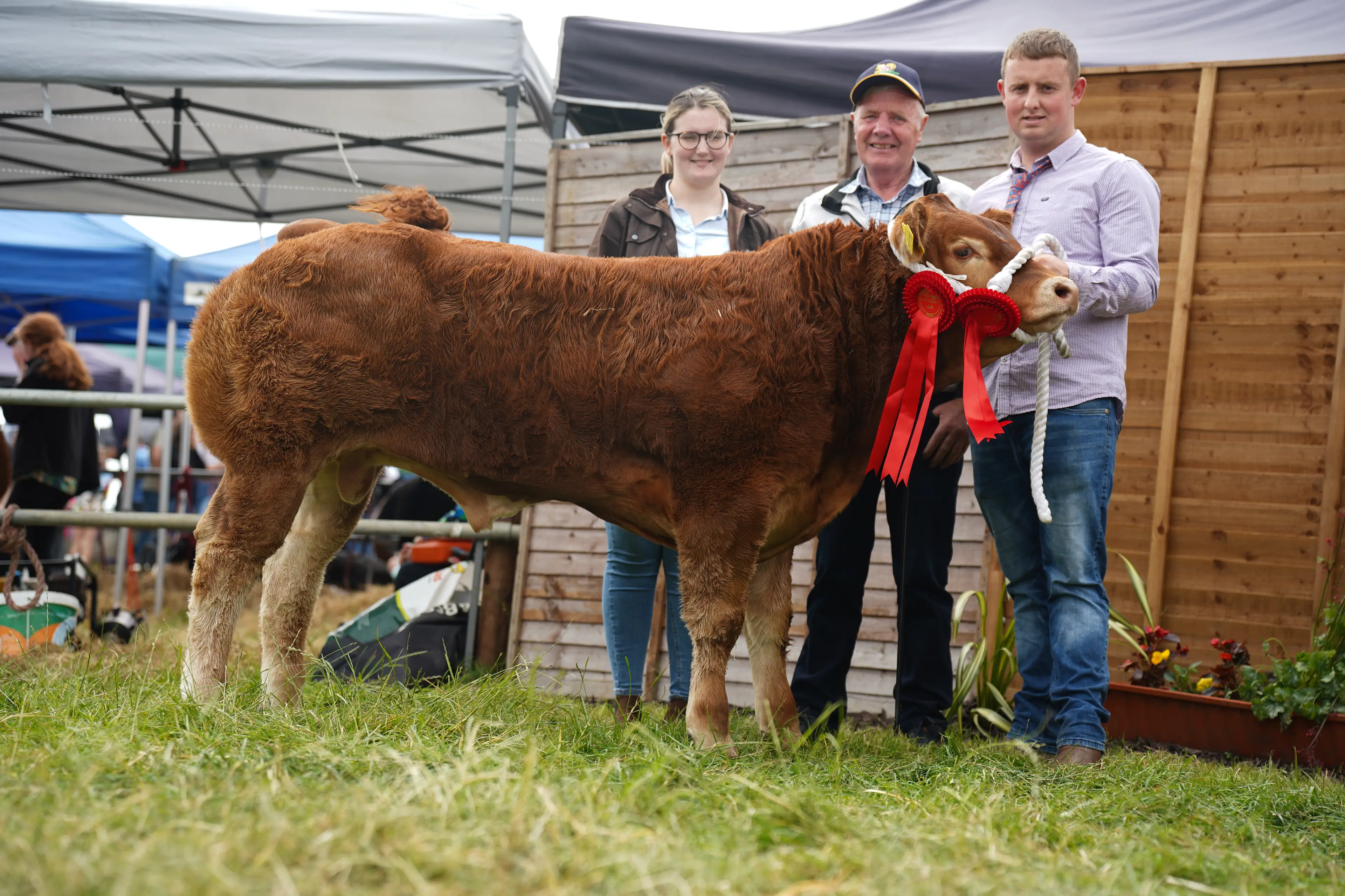 Winner of the Charolais x male calf by Crossmolina Euro (CSQ)
