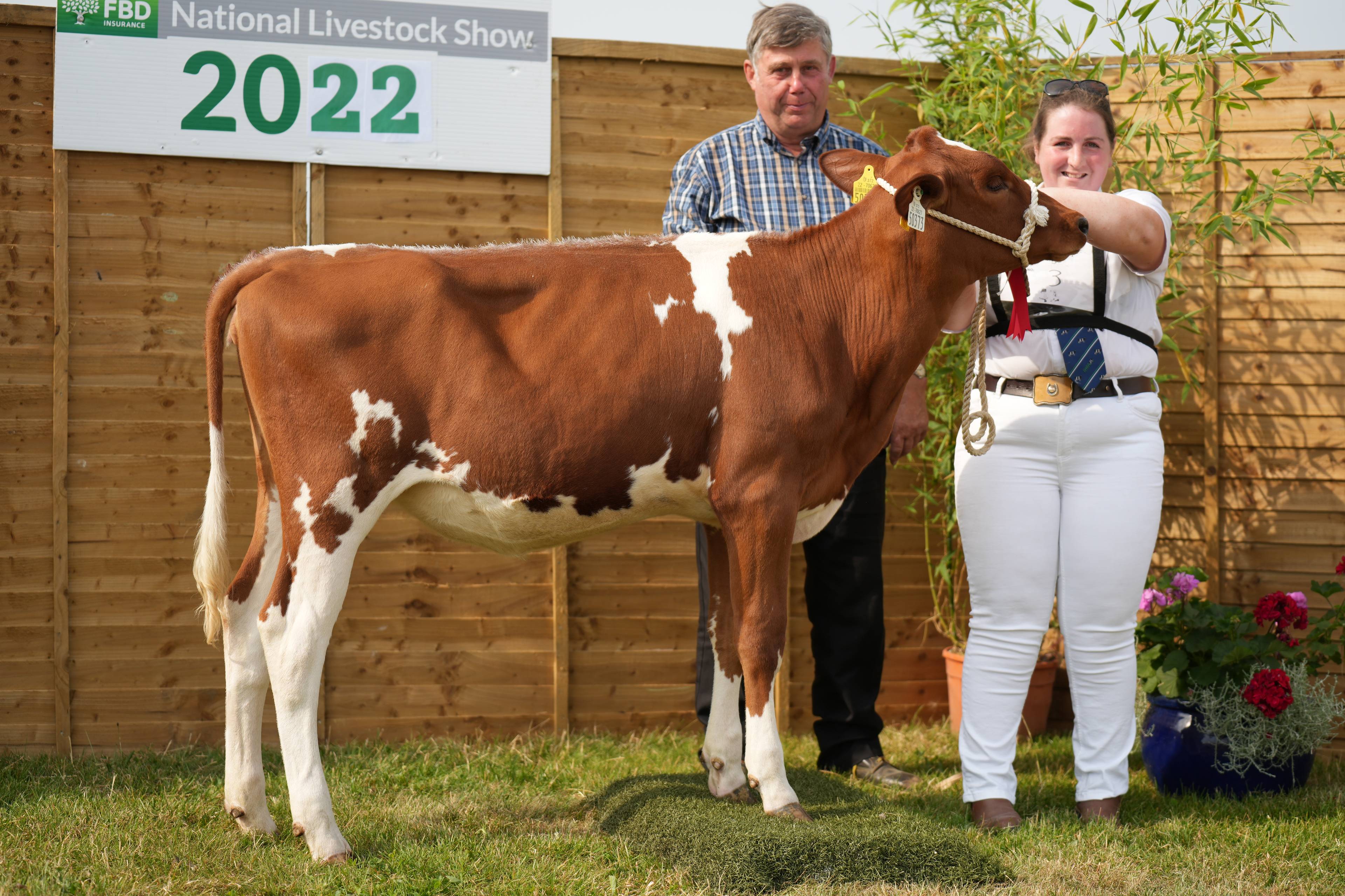 Aisling Neville with her Youri (FR5722) sired heifer calf.