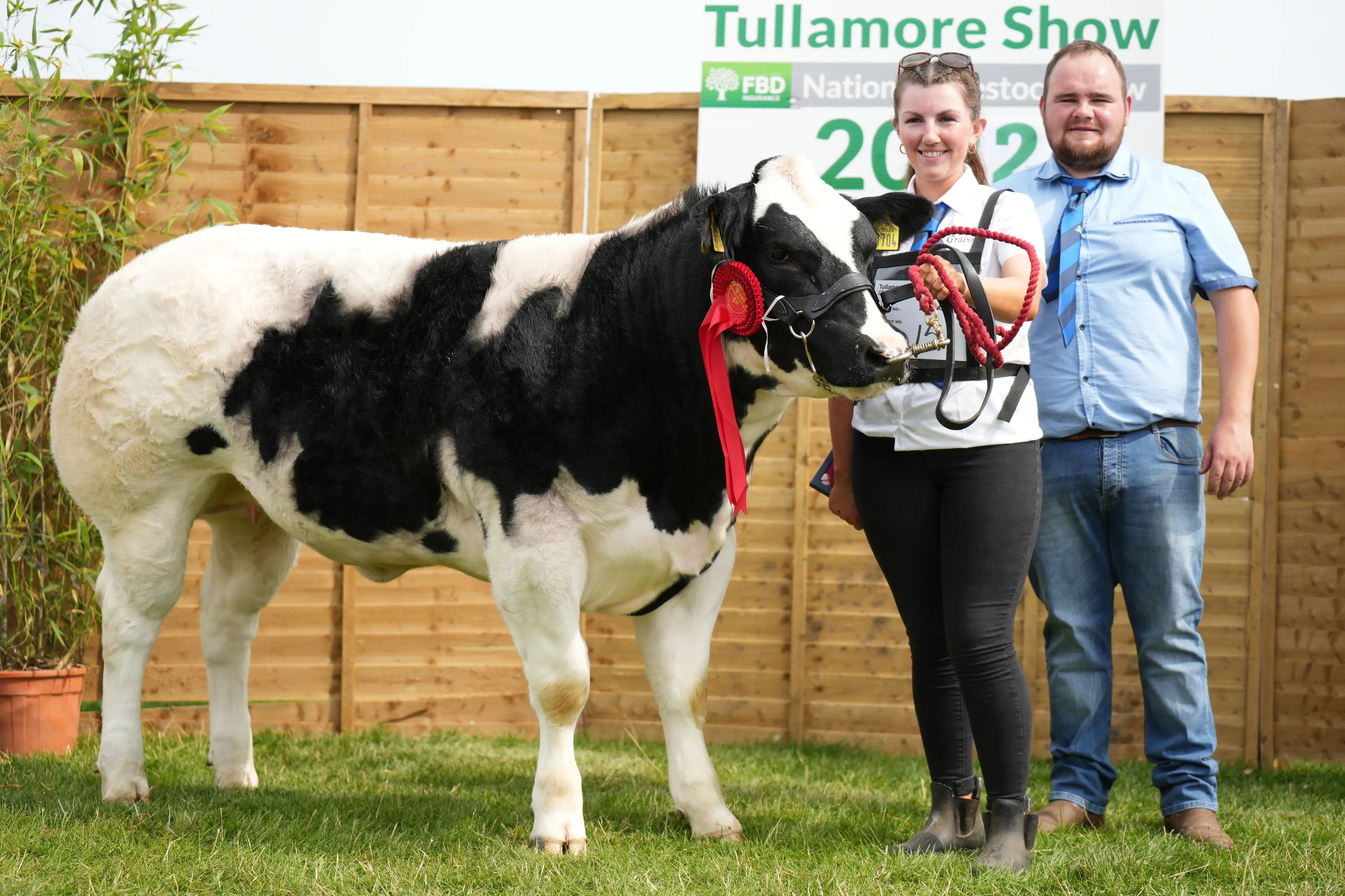 Billy Dunne with his James Bond VD Jorchrishoeve (BB4396) heifer.