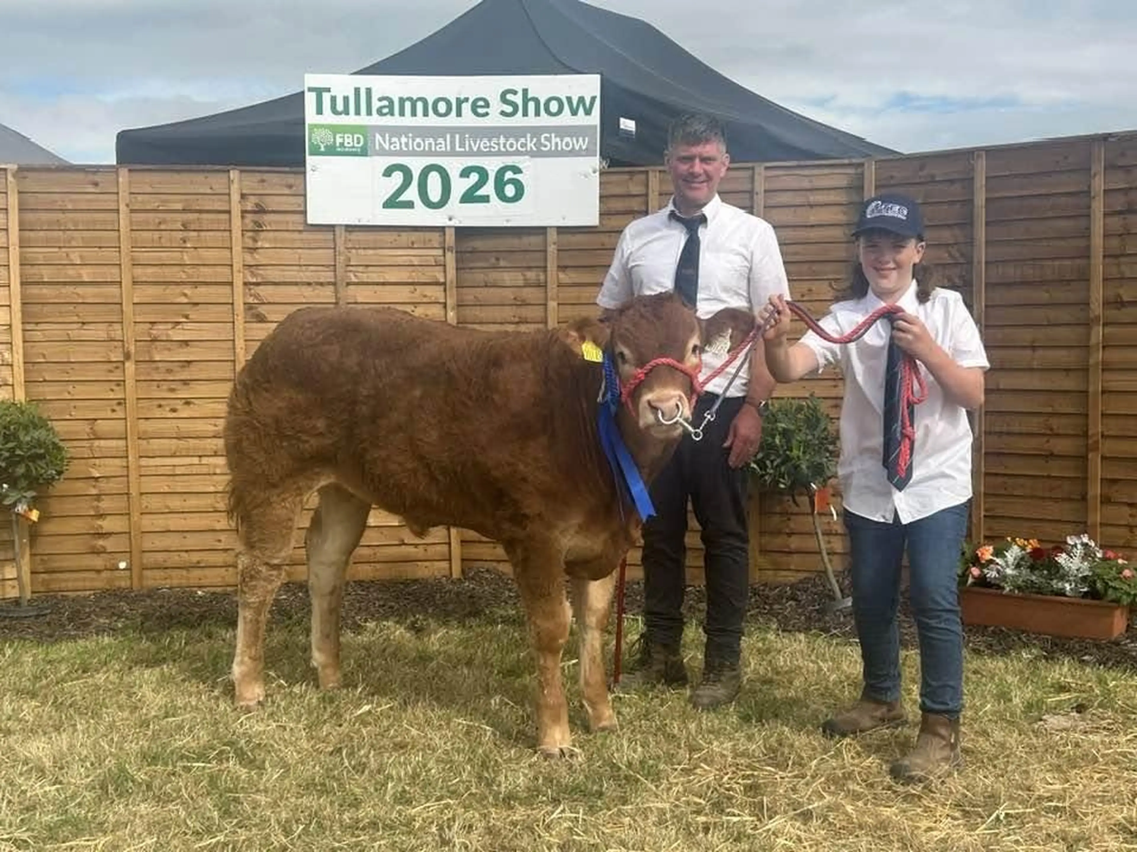 Adrian McCabe's Claddagh McCabe (LM6529) sired bull calf