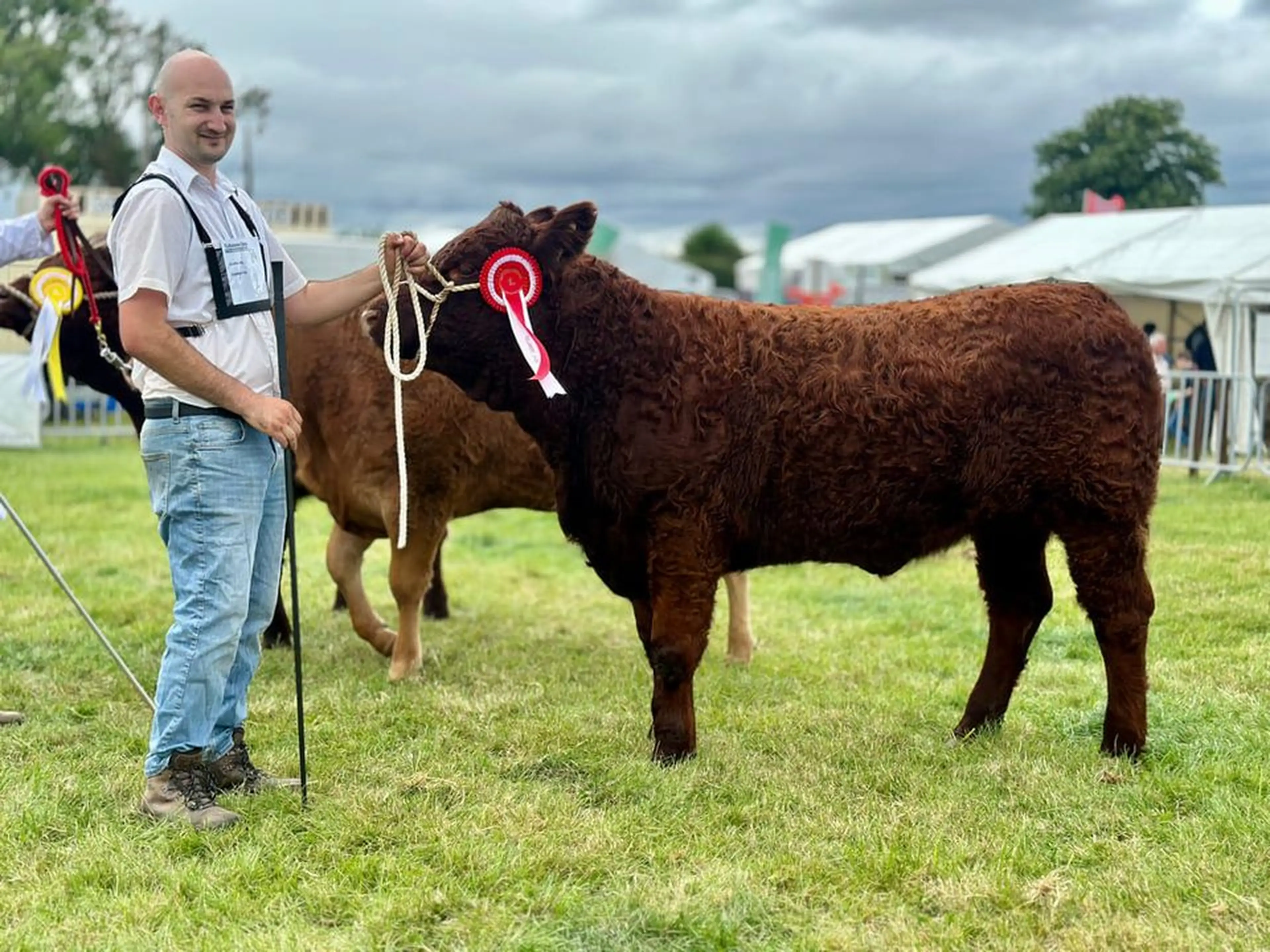 Breeder's Choice 4/5 star heifer class winner by Ulsan (SA2189)
